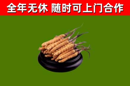 太原市烟酒回收冬虫夏草.jpg